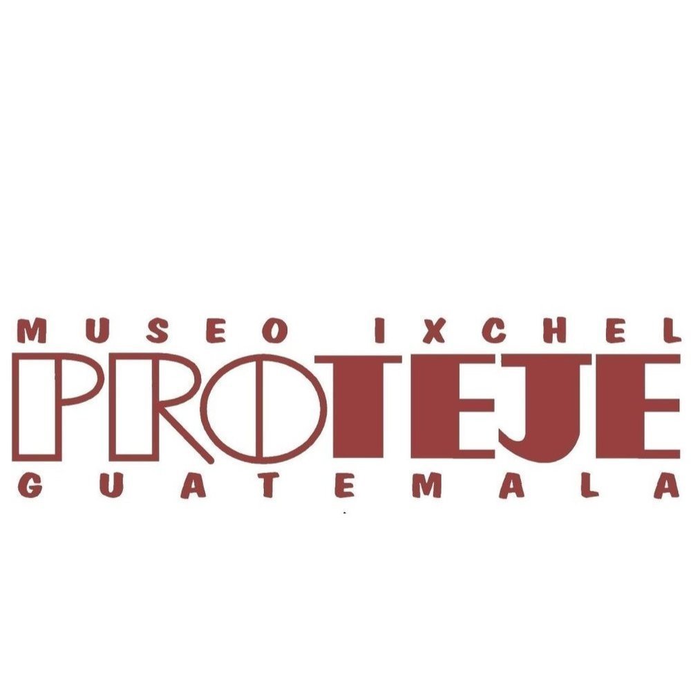 NWOT - Museo Ixchel Proteje Shoulder Sling Backpack Bag - Picture 10 of 10